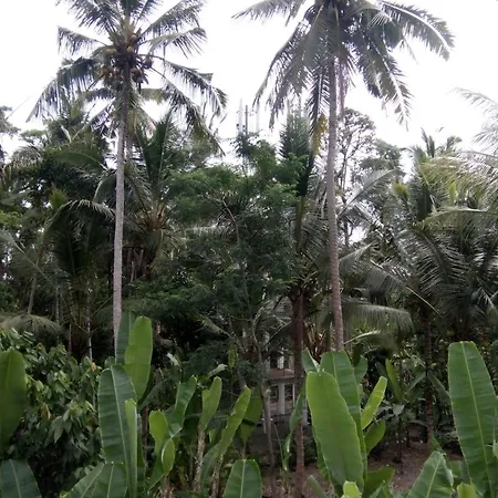 Manada Guest House-3