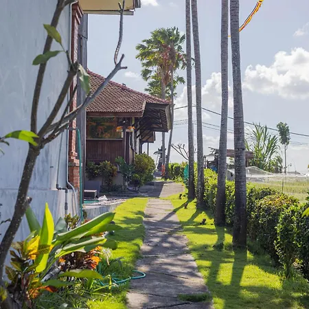 Kampung Canggu-2