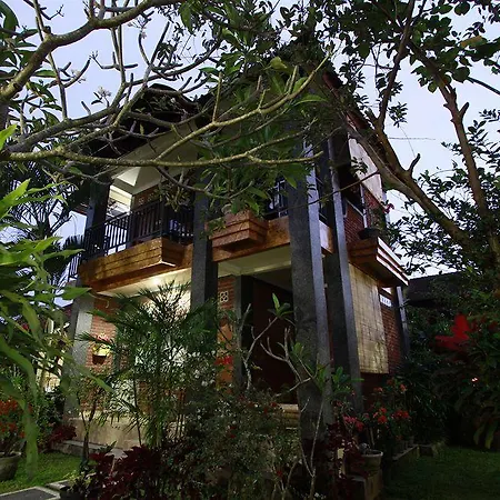 Citrus Tree B&B - Darta-2