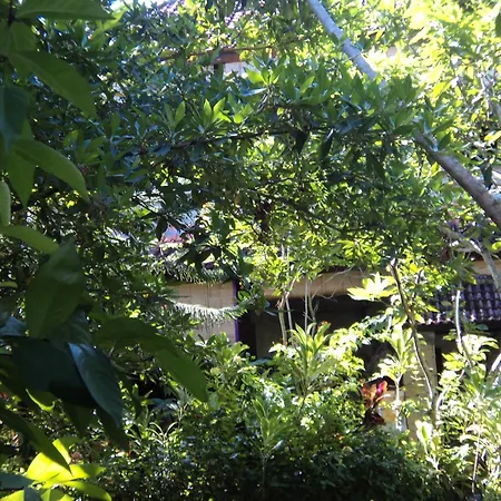 Villa Bhuana Alit Ubud-3