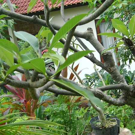 Sinar Bali 2-2