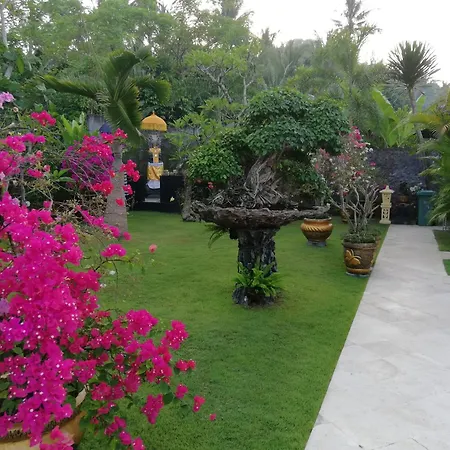 Villa Gusmania-2
