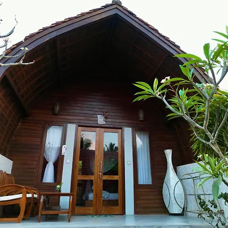 Jungle Paradise-2