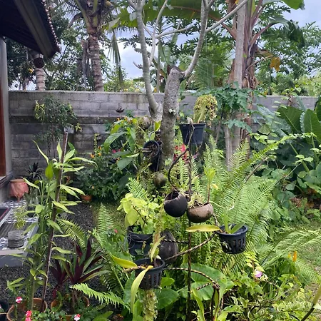 Bali Asli Guest House By Eps-3