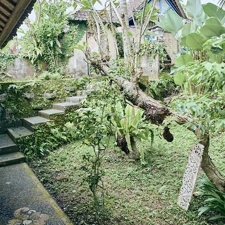 Lembah Sentosa-2