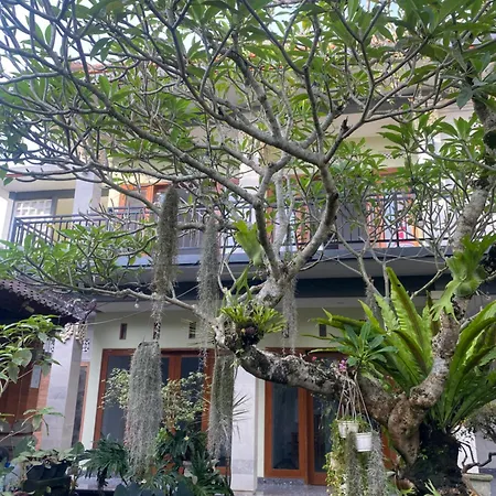 Suryadina Guest House-2