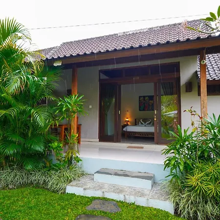 Green Coconut Cottage-2