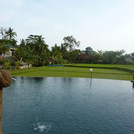 Cendana Resort & Spa Ubud By Mahaputra-3