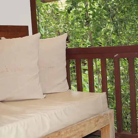 Arana Suite-2