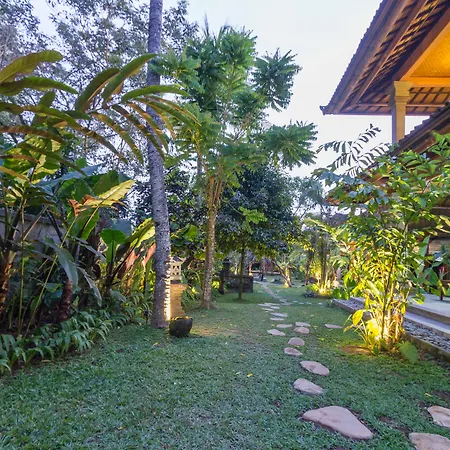Garden View-2