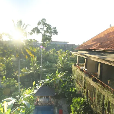 Alam Terrace Cottages-3