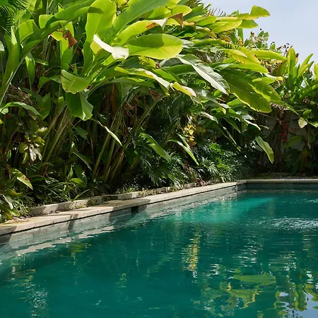 Canggu Villa By Sanga Sanga Hospitality-2