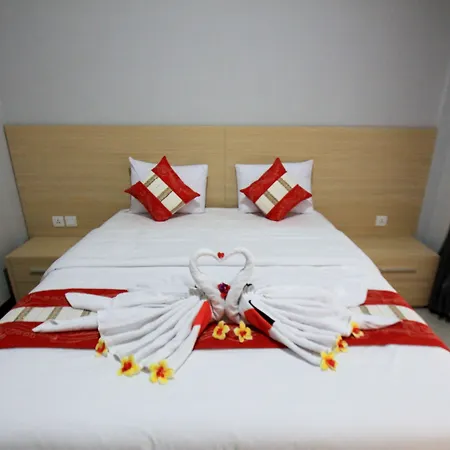 Tom Guest House-2