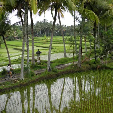 Satori Villas Bali-2