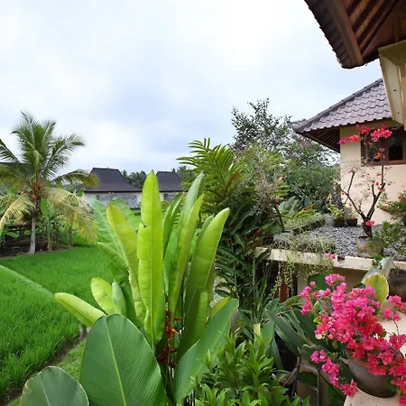 Satori Villas Bali-3