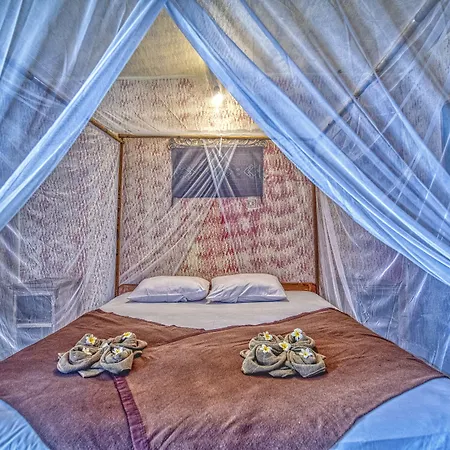 Lovina Central Hostel-3
