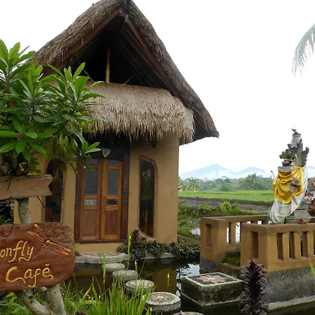 Dragonfly Village-3