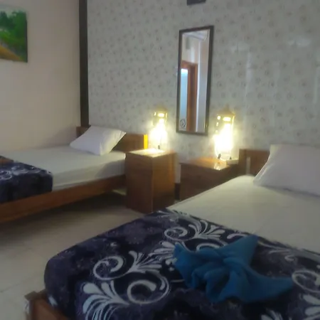Summer Guesthouse Lovina-2