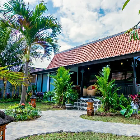 Canvas Escape Resort-3