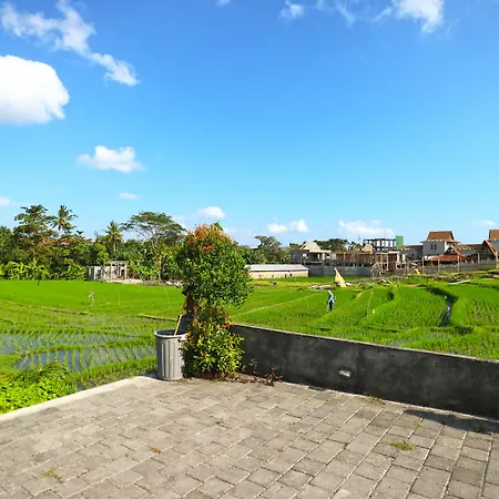 Pererenan Nengah Guest House Canggu-3