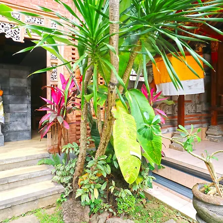 New Ubud Hostel-2
