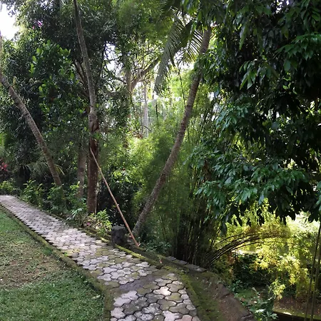 B&B Home Stay Griya Jungutan-2