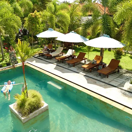 Jungle Paradise-3