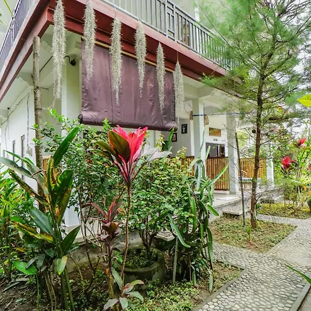 Molecha Guest House-3