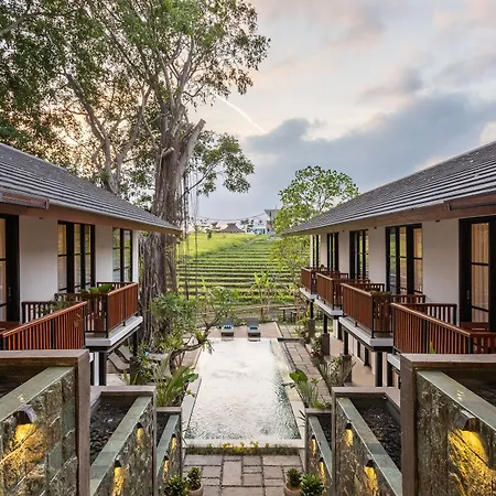 Paripadi Studio Canggu-3