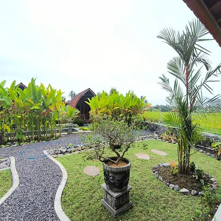 Eling Ubud Guesthouse-3