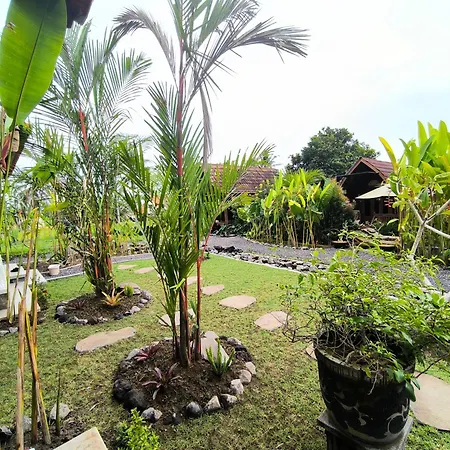Eling Ubud Guesthouse-2