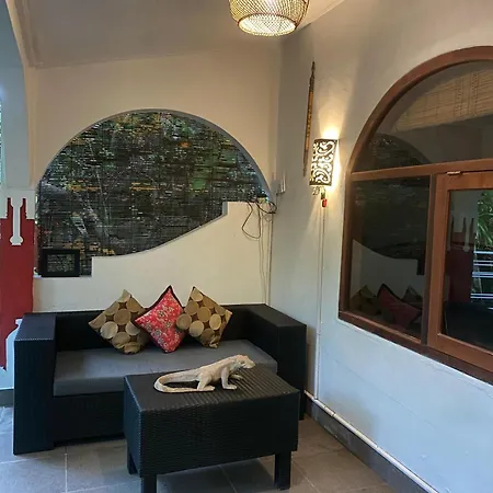Catra Homestay Beach Apartments-3