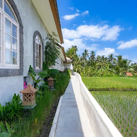 Bali View Ubud Hotel-2