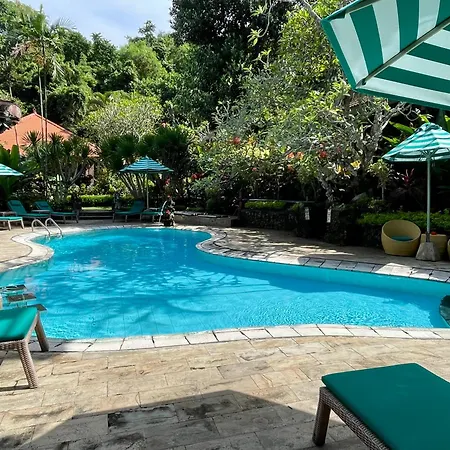 Dasa Wana - Dw Jungle Resort - Candidasa-3