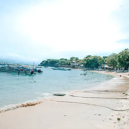 The Tanis Beach Resort Nusa Lembongan-3