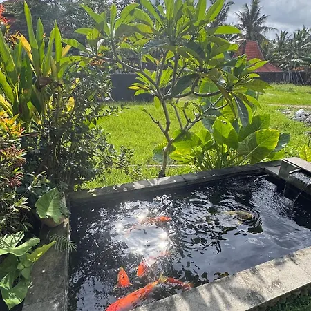 Pondok Sarwi-2
