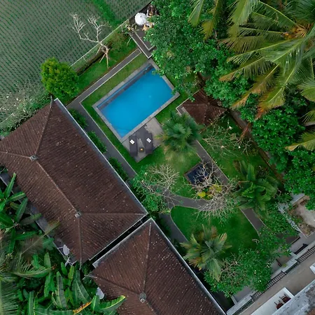 Ayu Shanti Guest House Ubud-3