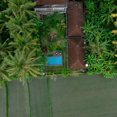 Ayu Shanti Guest House Ubud-2