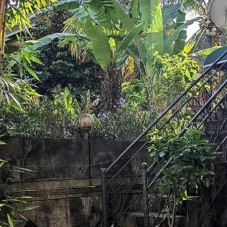 Ubud Dream-3