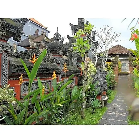 Arjun Bed And Breakfast-2