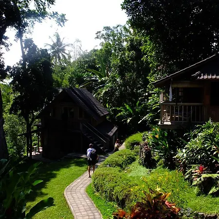 Prashanti Bali-3