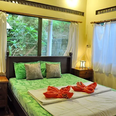 Soni Backpacker House-2