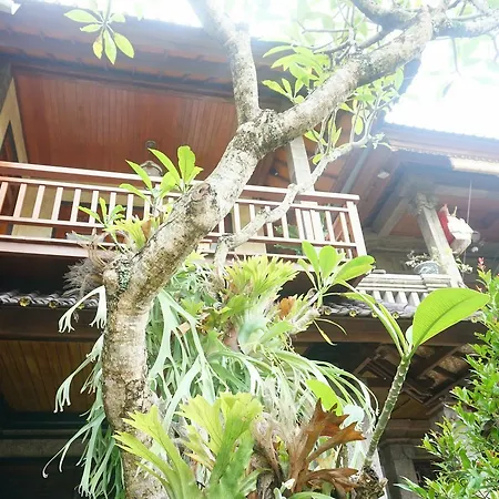 Cantika Guest House-3