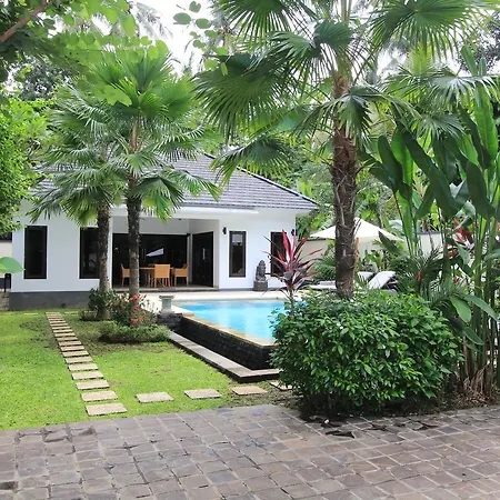 Villa Kupu Kupu Lovina-3