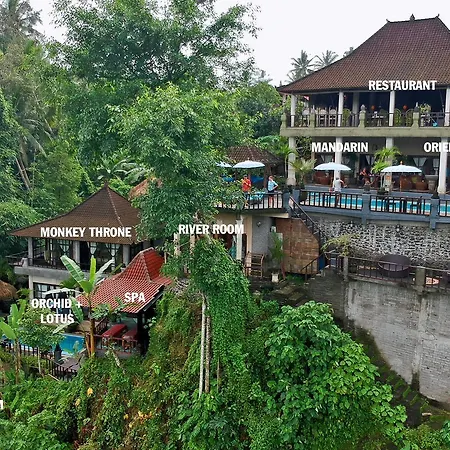 Villa Kalisat Resort-2
