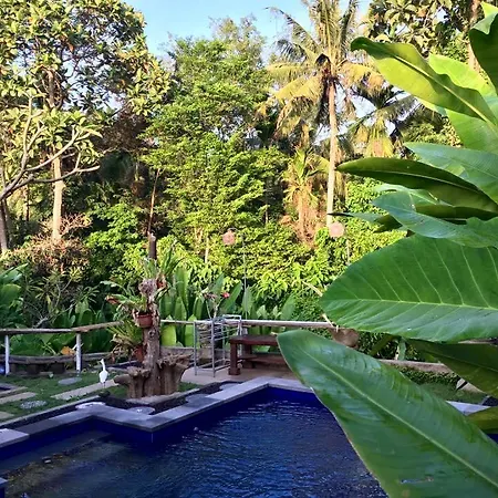 Kerta Family Bed And Breakfast-2