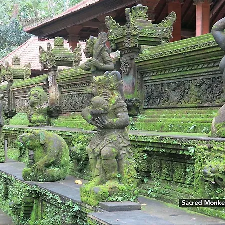 Zen Rooms Ubud Nyuh Kuning-2