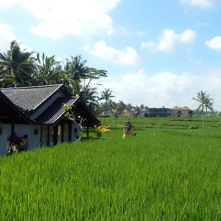 Amaya Cottage Ubud By Best Living-2
