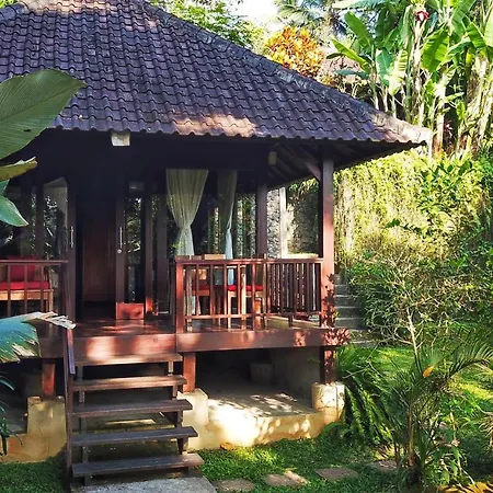 Secluded Jungle Villa-2