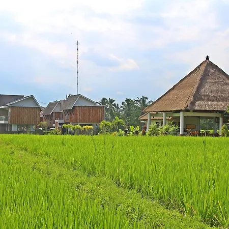 Greenfield Luxury Villas-2